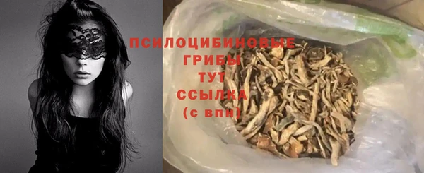 прущие грибы Мегион
