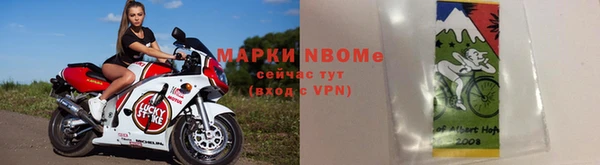 прущие грибы Мегион
