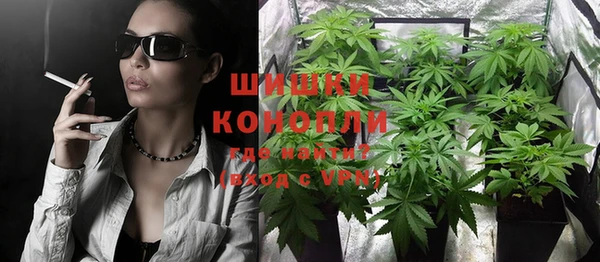 прущие грибы Мегион