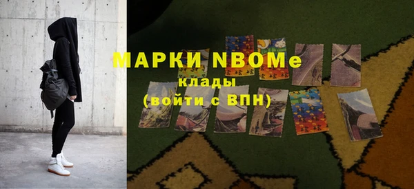 прущие грибы Мегион