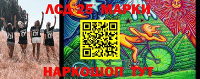стаф Кимры
